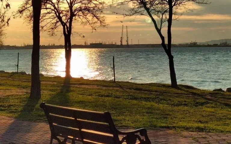 Banco de praça vazio à beira-mar, entre árvores, com o sol se pondo sobre a água